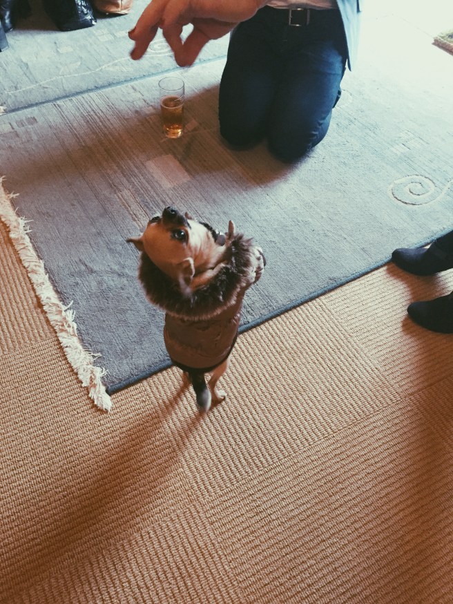 Processed with VSCOcam with p5 preset