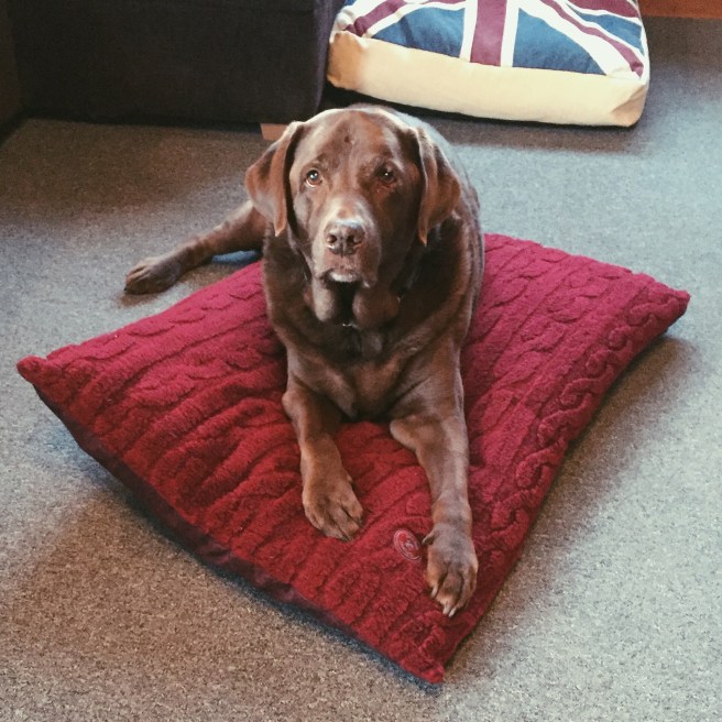 Processed with VSCOcam with p5 preset